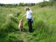 meadow fun